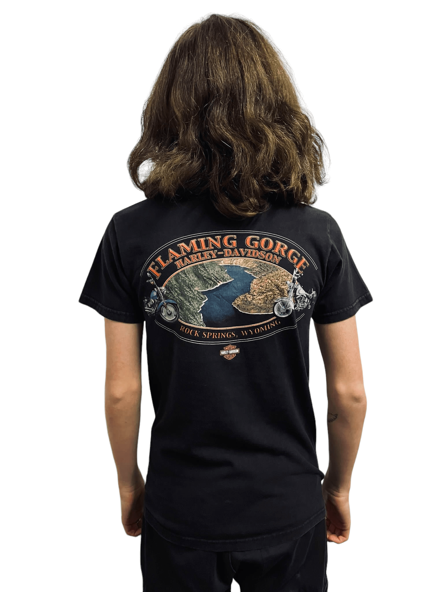 Harley Davidson Rock Springs Wyoming T-Shirt