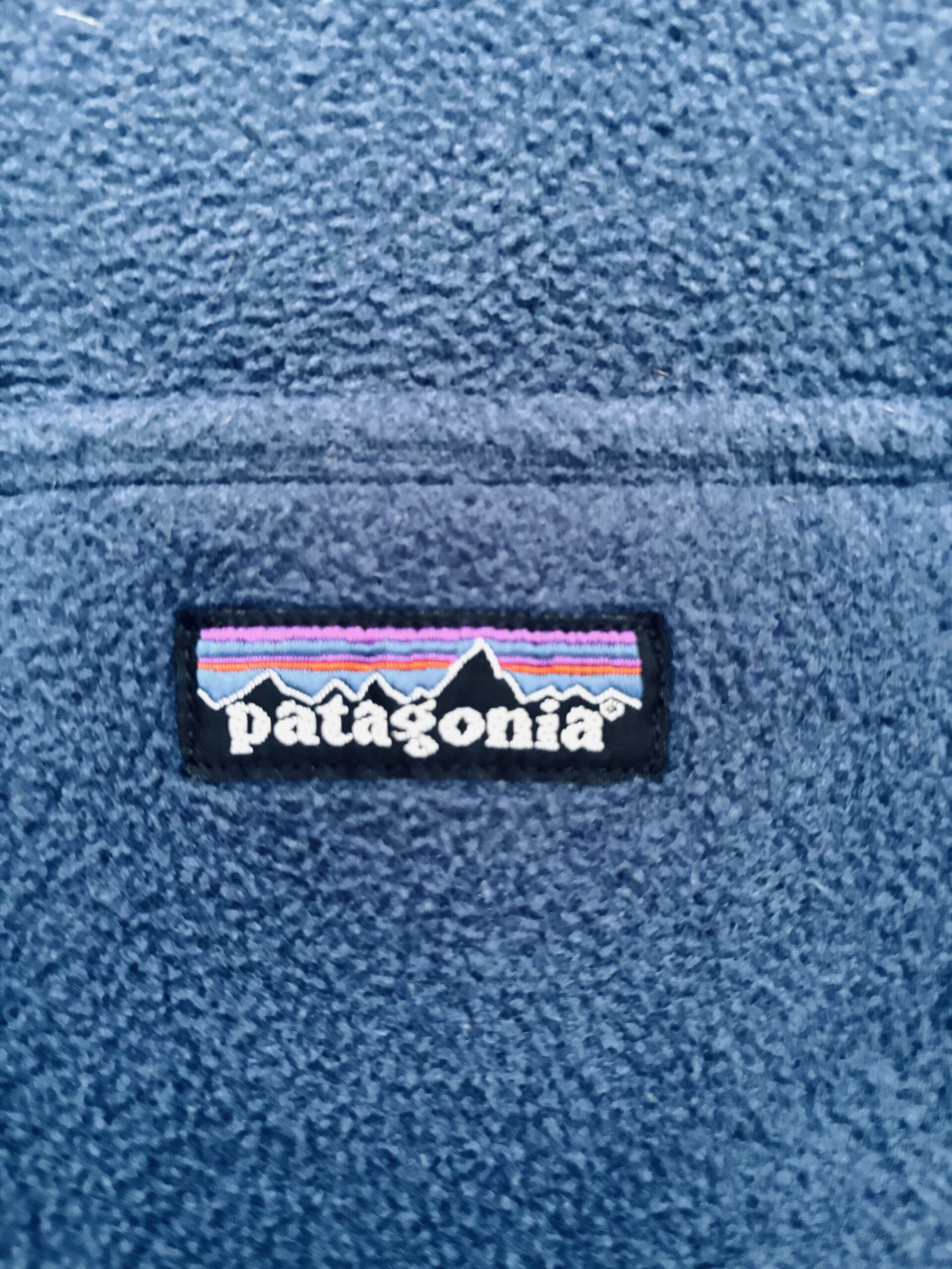 Patagonia Synchilla Fleece